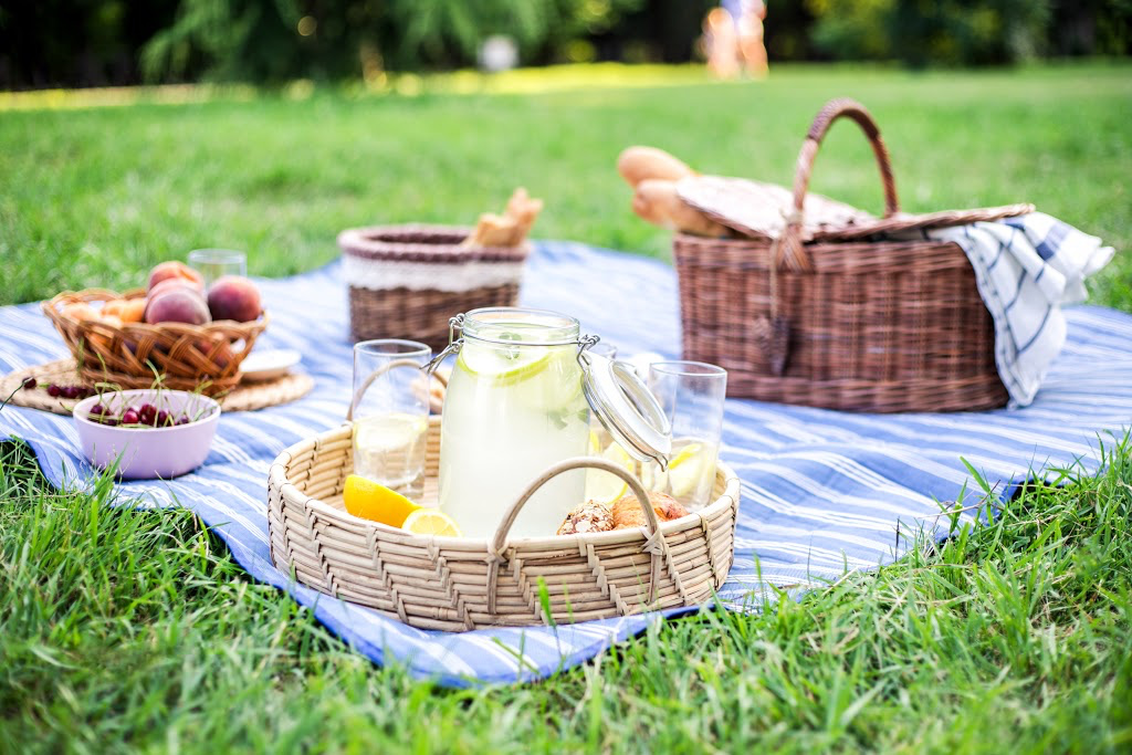picnic at a park
